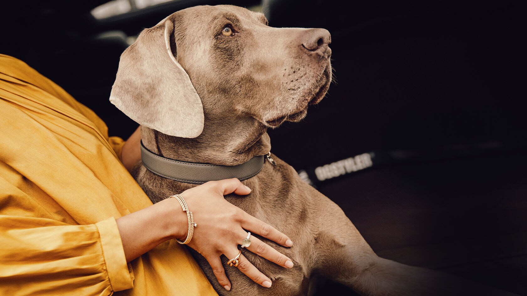 Mercedes benz dog accessories hot sale