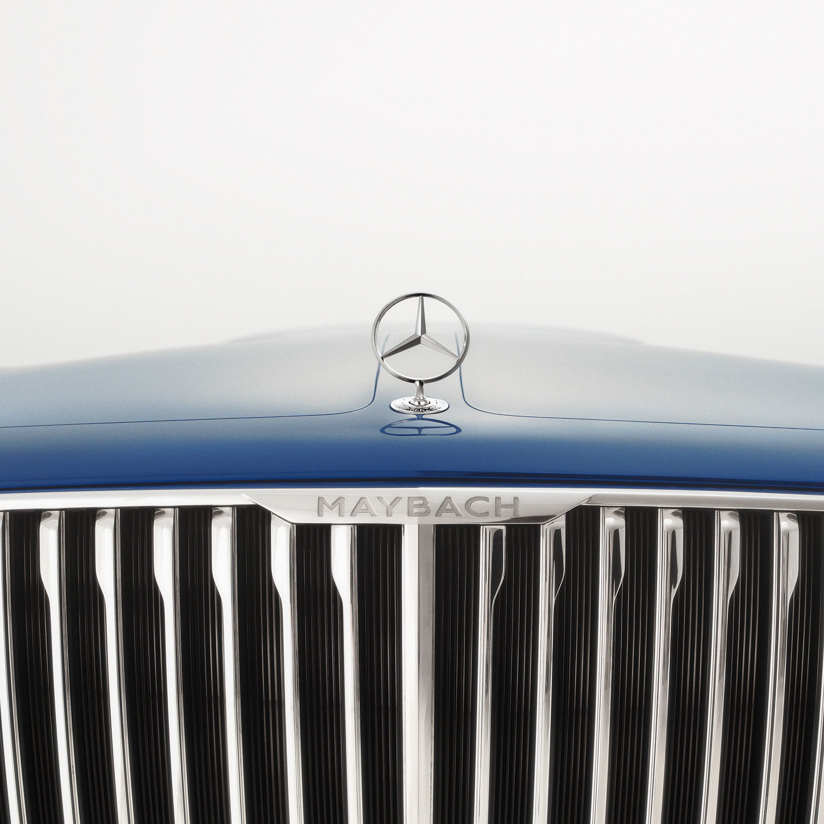 Where every detail unveils a world of wonder.